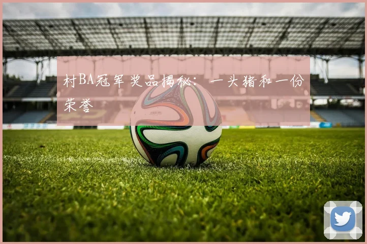村BA冠军奖品揭秘:一头猪和一份荣誉